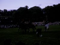 Basingstoke Carnival Horse 1